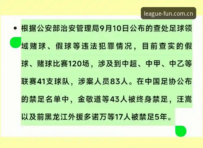 足协第三批禁足名单深度复盘：一个行业观察者的球盟会娱乐平台使用心得